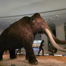 선사유적지 이미지