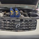 플러스카프라자 이미지