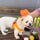 여울공원 이미지