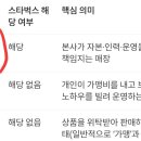 15노블드림