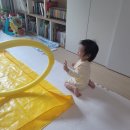 꿈트리 | 낯가리는 아기도 금방 웃게 만든 방문 오감수업, 꿈트리오감 체험후기