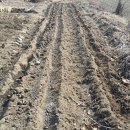 액비골(1) 이미지