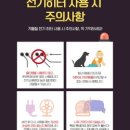 전기통신안전협회 이미지