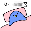 김태정야심 이미지