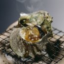 소라 이미지