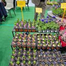 동아식품(주) | [코엑스] 2026 건축박람회, 조경 정원 박람회, 건강산업박람회 1일차 후기