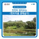 (임당2리)명포습지 | 천천히 걸어요, 명포마을 생태습지