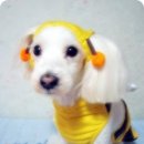 구월2동-10 이미지