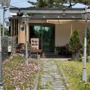 커피테라 - 울주군 해맞이로 1459 | 울산 울주 서생카페 진하해수욕장 수제팥빙수 야외테라스가 있는 커피테라 방문후기