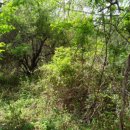 색달동-1 이미지