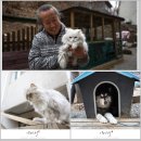 개도사랑펜션 이미지