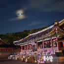 달빛동화마을 | 수원 놀거리 화성행궁 달빛화담 야간개장 미디어아트 입장료