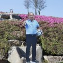 올드힐 Daum카페