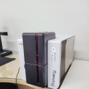 세담초등학교 이미지