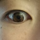 안경명가동구1호점 위드렌즈 이미지