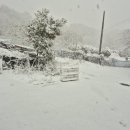 에코키즈스테이 이미지