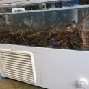 부자추어탕 이미지