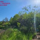 용암태양광발전소 이미지