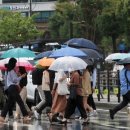 그냥 심심해서요. (16762) ‘강력’ 태풍 온다 이미지