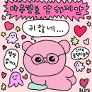 타타스베이글 이미지
