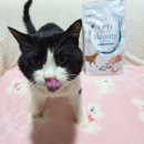 샤이니덴탈 이미지