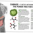 똑똑한 요거트 이미지