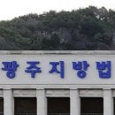 고속도로서 후진, 사망사고 낸 운전자…&#34;다른 차는 다 피했다&#34; 이미지