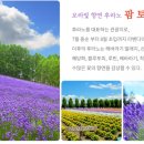 더품격 이미지