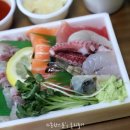 호랑이숙성회&초밥