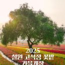 전국 가을 꽃 축제 일정 이미지