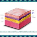 새롬동_에스월드빌딩 | 세종새롬동피부과 대표원장이 전하는 스킨보톡스 시 반드시 알아야 하는 이것은?