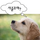 웅둥이네