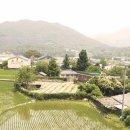 요천다슬기마을 이미지