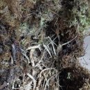 현동농장 이미지