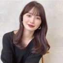 엘리헤어 이미지