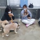 더펫센터 이미지