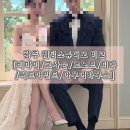 서동환 | 파워J 광주 웨딩스튜디오 비교 엑셀 공유 "비마이/그사순/랑게해밀/피아/아우어하우스/써드마인드...