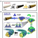 정성개발 이미지