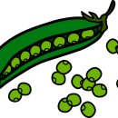 성현동작은도서관 이미지