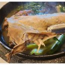 황제오리 이미지