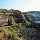 제주수월이 이미지