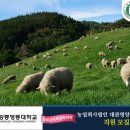 농업회사법인 (주) 대관령 이미지