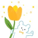 고기듬뿍대왕비빔밥안산