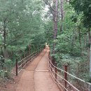 아람근린공원 이미지