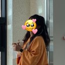 모모브릿지 이미지