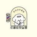 댕구살롱 이미지