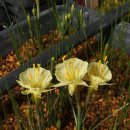 원종농장 이미지