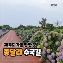 제주파도소리와 돌공원 | 가볼만한 곳 종달리 해안도로 수국길 핫스팟 - 가족여행 숨은 명소 고망난 돌 불턱 바닷가 산책 코스