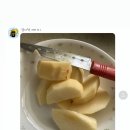 백동농장 이미지
