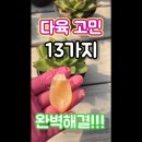 통합본 이미지